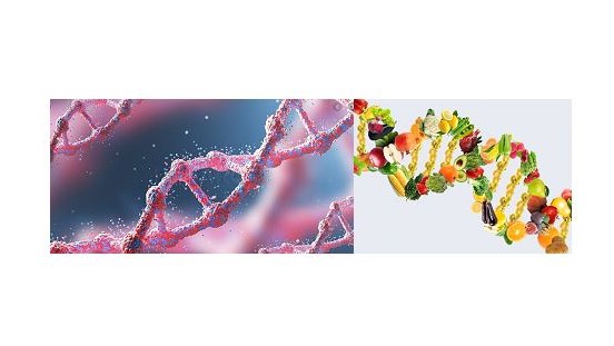 bea epigenetica 2 (2)